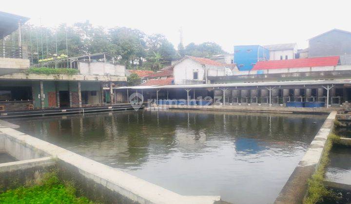  Rumah Bagus Bonus Kolam Ikan Dekat Tol Dekat Stasiun Di Cilendek 2