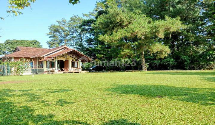 Villa View Gunung Dengan Kolam Renang Di Megamendung 1