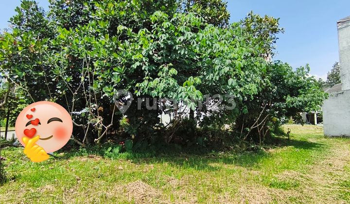 Tanah Kavling Di Golf Estate Bogor Raya Lakeside 9 Juta Per M2 Tanah Kavling Di Golf Estate Bogor Raya Lakeside 9 Juta Per M2