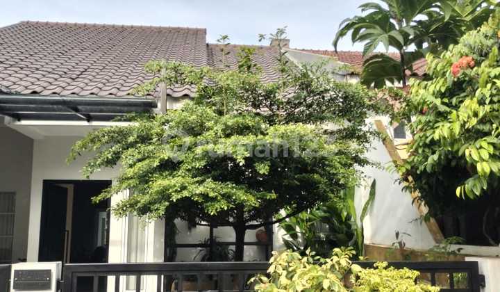 Rumah Siap Huni Dan Baru Renovasi Di Bogor Country 