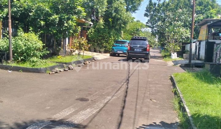 Dijual Cepat Harga Njop 7 Jutaan Tanah Kavling Di Bogor Baru Dijual Cepat Harga Njop 7 Jutaan Tanah Kavling Di Bogor Baru