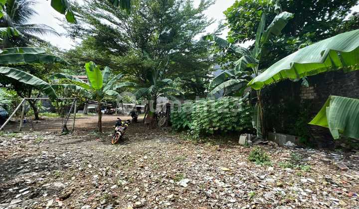 Tanah Murah 2 Jutaan Di Dekat Tol Summarecon Bogor Di Bawah Njop