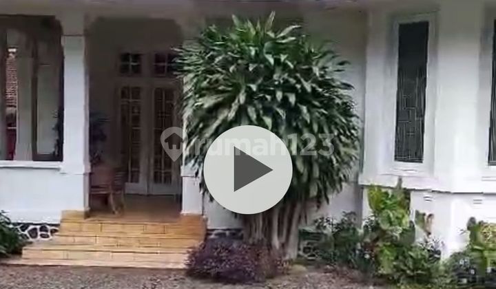 Rumah Heritage Tanah Luas Tengah Kota Bogor Hitung Tanah 17 Juta