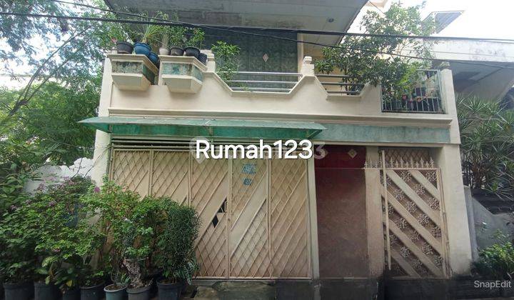 *Rumah 2 Lantai Lokasi Strategis di Pademangan, Jakarta Utara* 1