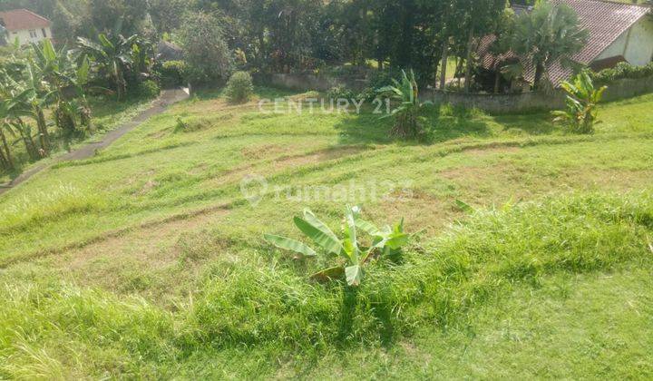 Kavling Sawah View Gunung Pangrango Di Kampung Ciesek Megamendung 2