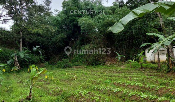 Kavling Ada Mata Air Di Jl Kp Ciherang Pancawati Caringin Bogor 2