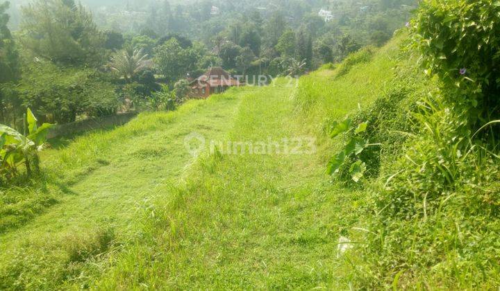 Kavling Sawah View Gunung Pangrango Di Kampung Ciesek Megamendung 1