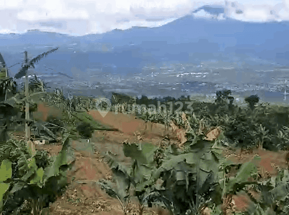 Kavling Di Desa Cibitung Kulon Pamijahan Bogor Barat 1