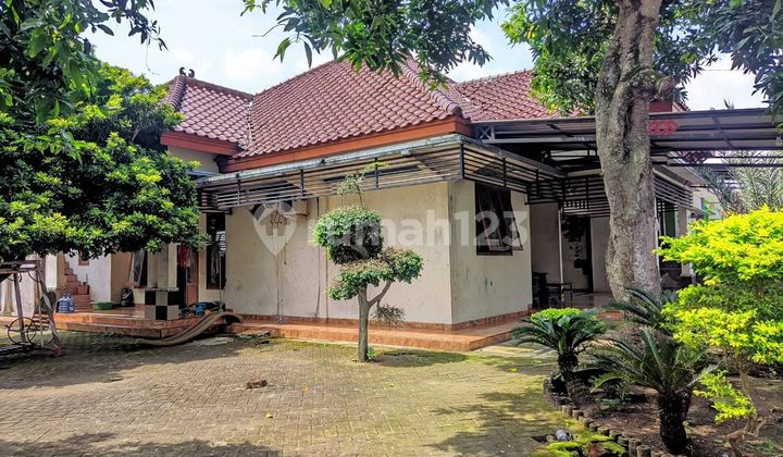 Rumah klasik+Kebun+kolam ikan Dukun Gresik ******** DAPAT TERMURAH Rumah klasik+Kebun+kolam ikan Dukun Gresik ******** DAPAT TERMURAH