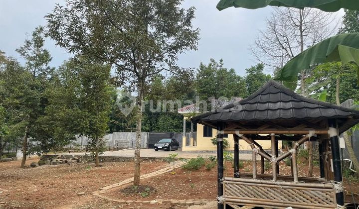 Tanah Bonus Rumah+Kebun Durian Serang Banten.STRATEGIS TERMURAH!!!