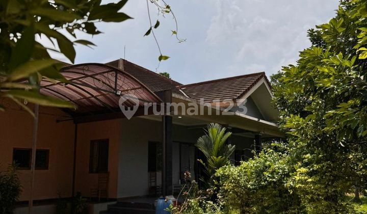 Dijual Murah Rumah Klasik Hal Luas Sejuk Asri Parung Bogor Jabar Dijual Murah Rumah Klasik Hal Luas Sejuk Asri Parung Bogor Jabar