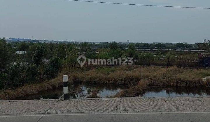 Tanah Strategis Siap Dibangun di Jalan Lingkar Kaliwungu Kendal 2