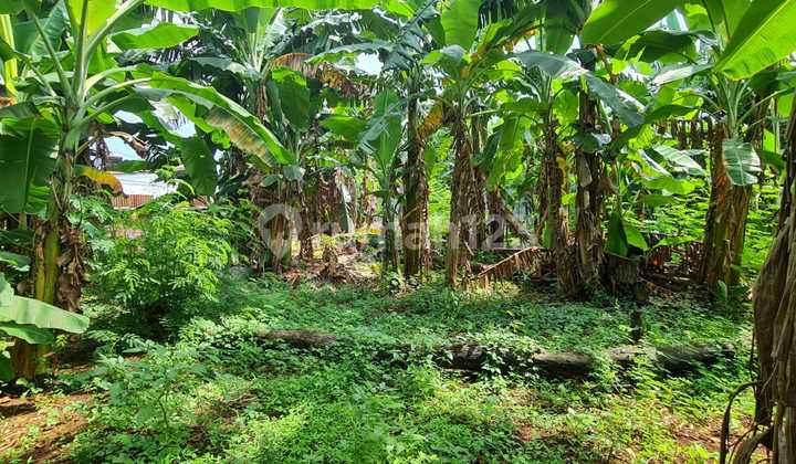 Strategic Certified Land on Beruang Street, Gayamsari. 2