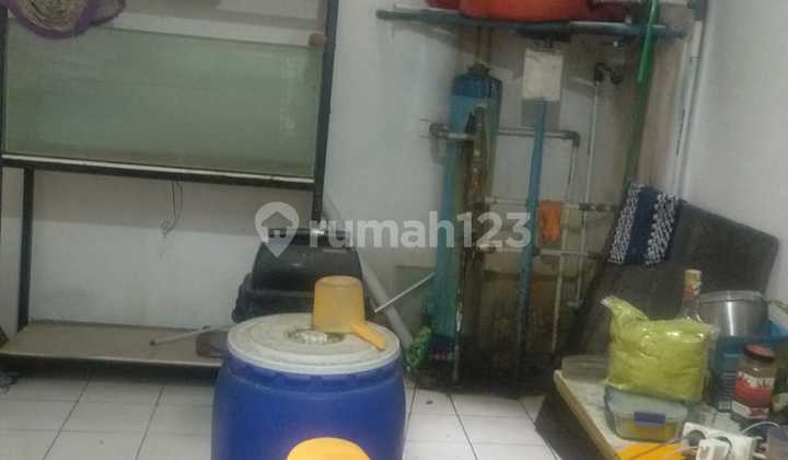 Rumah 1 Lt Butuh Renov di Tki 2 Patung Gajah 2