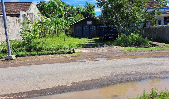 Tanah 500 m² SHM sedikit gentong di Jenggawah 1