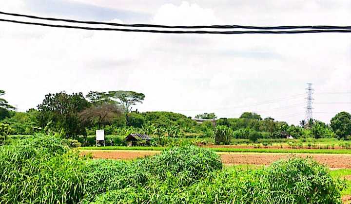 Land Suitable for Warehouse or Factory, Industrial Zone, Cikupa Location.