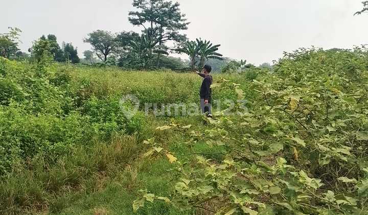 Empty Land 4 ha Location Pengarengan Rajeg, Tangerang