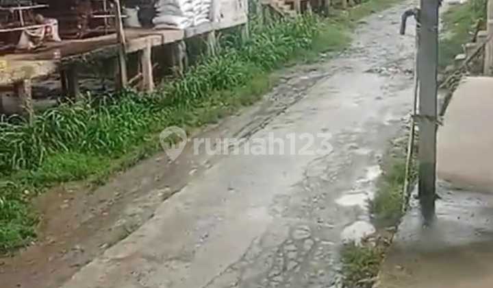 Bonus Land for Egg-Laying Chicken Farms and Trucks in Bogor, West Java. Bonus Land for Egg-Laying Chicken Farms and Trucks in Bogor, West Java.