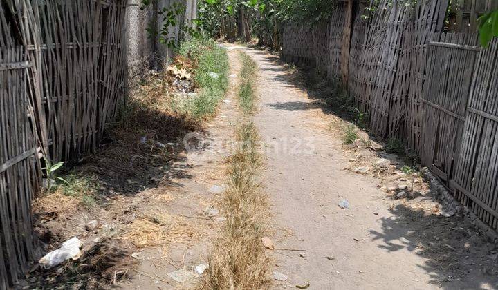 Tanah 1,2 Ha di Jalan Raya Selembaran, Kosambi, Tangerang 1