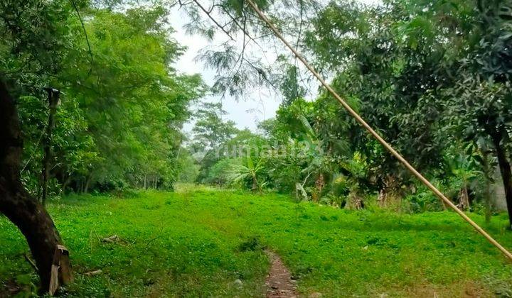 Tanah Bagus Lokasi Samping Jalan Raya Di Balaraja, Tangerang 1