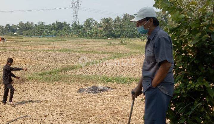 Tanah Luas Cocok Untuk Usaha Lokasi Strategis di Serang, Banten 1