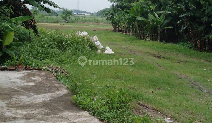 Lahan Sawah Luas Cocok Untuk Usaha Lokasi Strategis di Kresek Tangerang 1