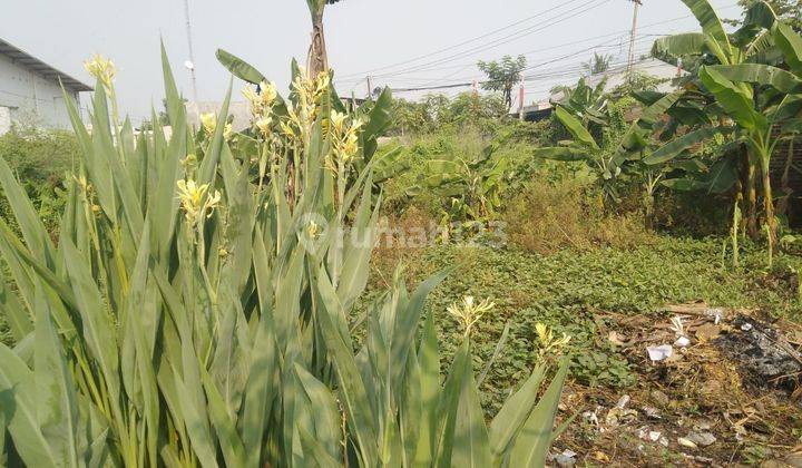 Lahan Kosong Bersetifikat Hak Milik di Teluk Naga, Tangerang 1