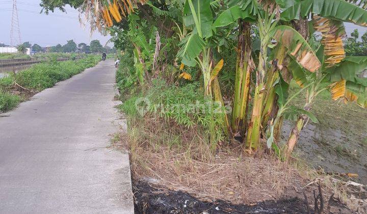 Lahan Sawah Luas 7 Ha Murah di Sepatan Tangerang 2