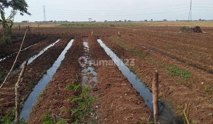 Lahan Kosong Cocok Untuk Bangun Perumahan Maupun Usaha di Ranca Bago, Rajeg, Tangerang 1