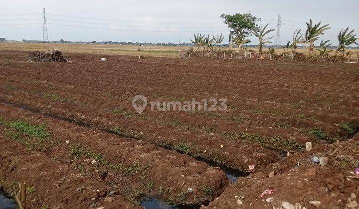 Lahan Kosong Cocok Untuk Bangun Perumahan Maupun Usaha di Ranca Bago, Rajeg, Tangerang 2