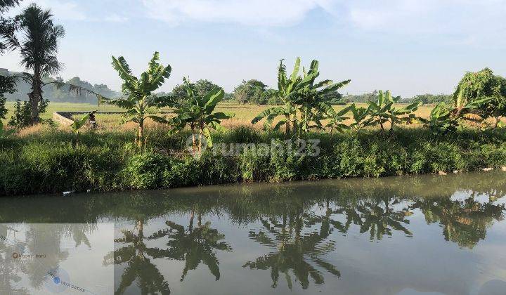 Lahan Luas Cocok Untuk Pembangunan Lokasi di Pasar Kemis, Tangerang 2