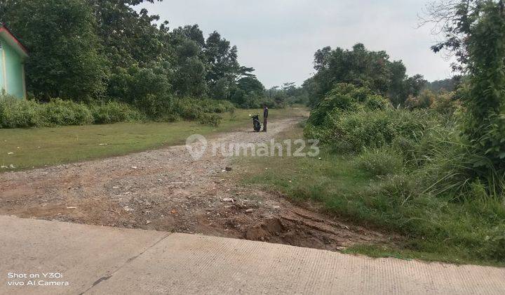 Lahan Kosong 5 Ha di Tigaraksa, Jamber, Tangerang 1