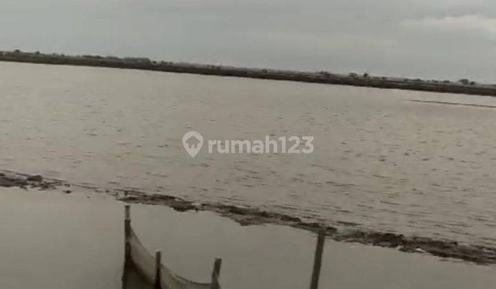 Usaha Tambak Ikan Dan Udang Luas Tanah 3 Ha di Pakisjaya, Karawang, Jawa Barat 2