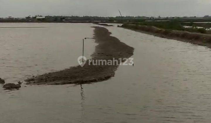 Usaha Tambak Ikan Dan Udang Luas Tanah 3 Ha di Pakisjaya, Karawang, Jawa Barat 1