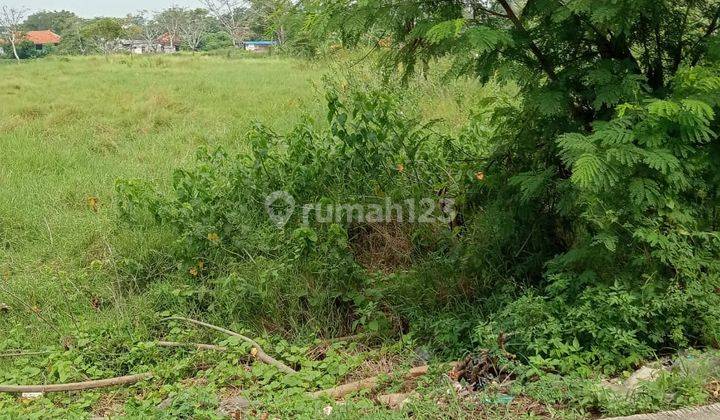 Lahan Kosong Luas 3 ha Lokasi di Rajeg, Tangerang 1