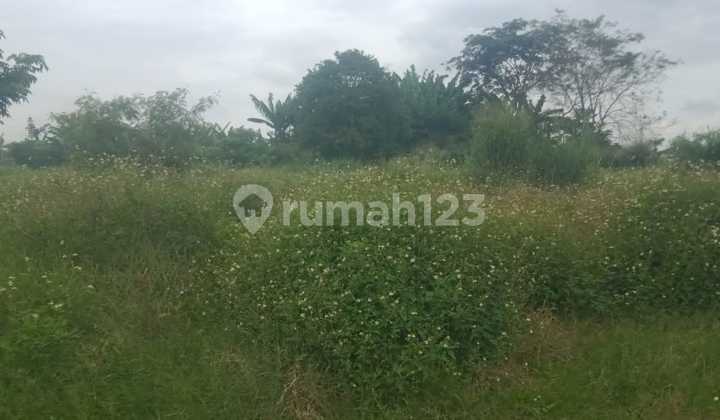 Lahan Kosong Luas 6,5 ha Dikelilingi Pagar Lokasi Legok, Tangerang Lahan Kosong Luas 6,5 ha Dikelilingi Pagar Lokasi Legok, Tangerang