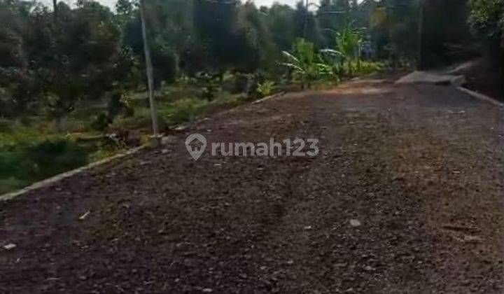 Lahan Kebun Durian di Warunggunung, Lebak 2