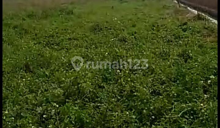 Tanah Kosong luas 13,6 ha Surat Hak Milik, Neglasqari, Tangerang Tanah Kosong luas 13,6 ha Surat Hak Milik, Neglasqari, Tangerang