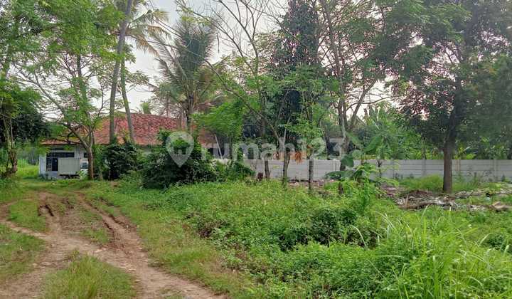 Tanah Kosong Luas 4 ha Daerah Gabusan, Tangerang 1