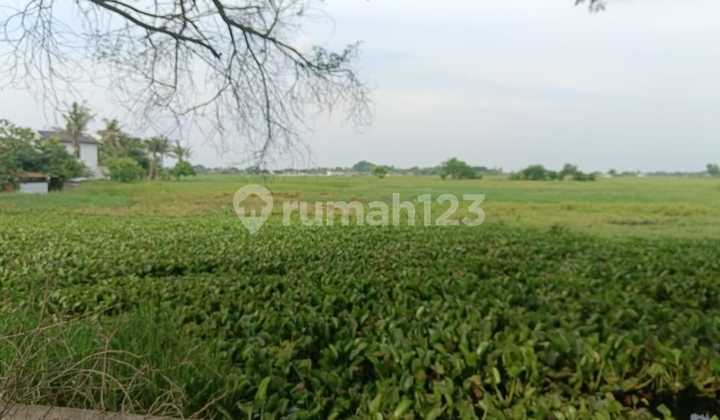 Lahan Luas Cocok Untuk Usaha Lokasi Pinggir Jalan Raya di Balaraja, Tangerang