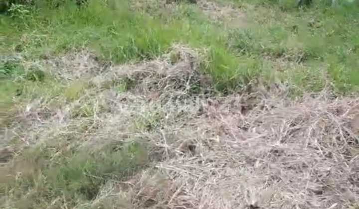 Lahan Kosong Lokasi Pinggir Jalan Bandara, Tangerang Lahan Kosong Lokasi Pinggir Jalan Bandara, Tangerang