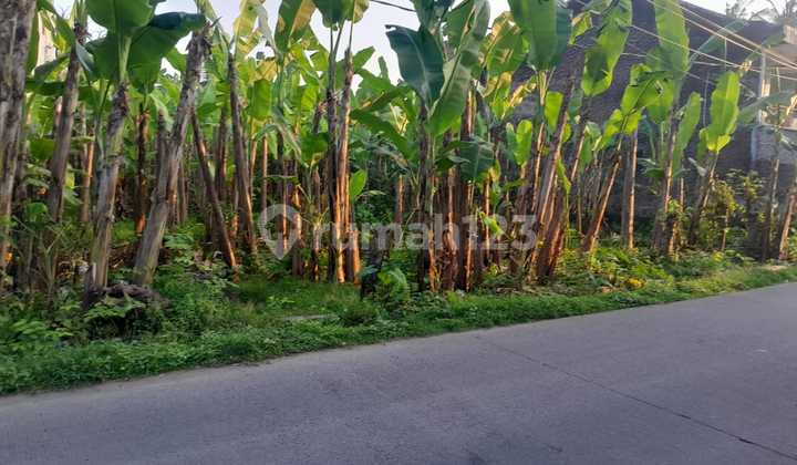 Lahan Kosong Lokasi Jalan Cor, Teluk Naga, Tangerang