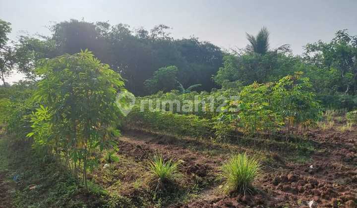 Tanah Luas 8,2 ha Lokasi Strategis di Tigaraksa, Tangerang