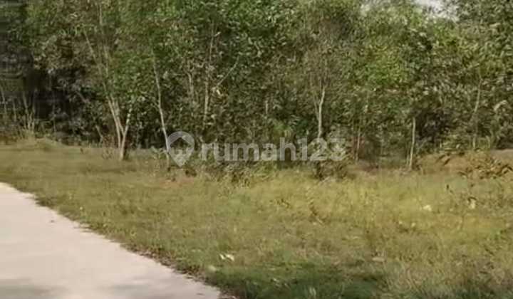 Lahan Kosong Murah Lokasi Dekat Stasiun Tigaraksa, Tangerang Lahan Kosong Murah Lokasi Dekat Stasiun Tigaraksa, Tangerang