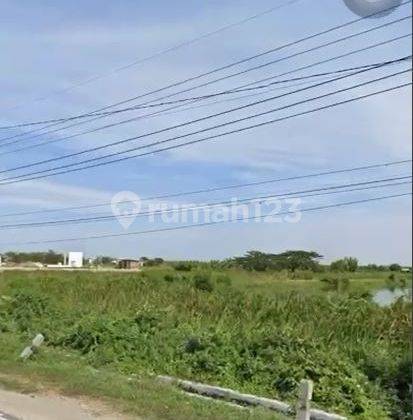 Dijual Tanah Tambak di Jln Raya Golokan Sidayu Gresik Lokasi Pinggir Jalan 1