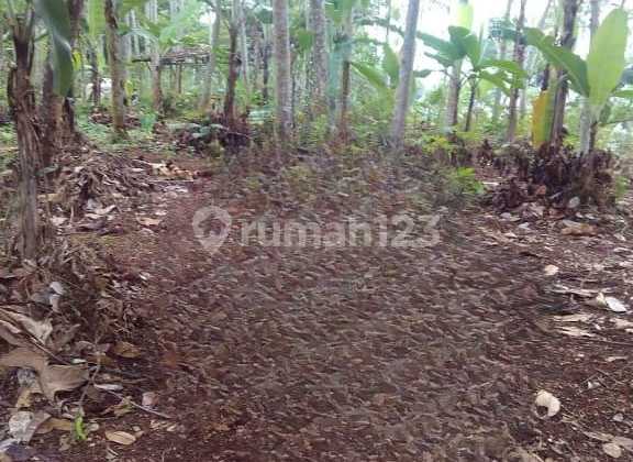 Tanah Produktif Lokasi Dekat Tempat Wisata dan Sirkuit, Cipatat 2
