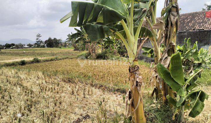 Tanah 1.088 m² Cocok Untuk Gudang di Sleman Yogyakarta 2