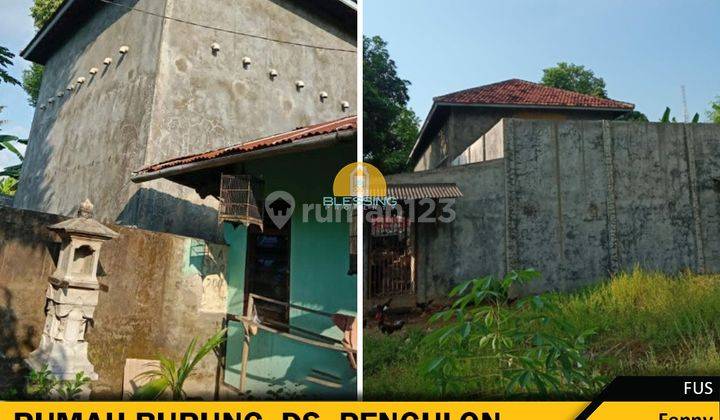 Rumah Burung Siap Pakai di Desa Pegulon Bali 1