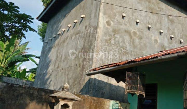 Rumah Burung Siap Pakai di Desa Pegulon Bali 2