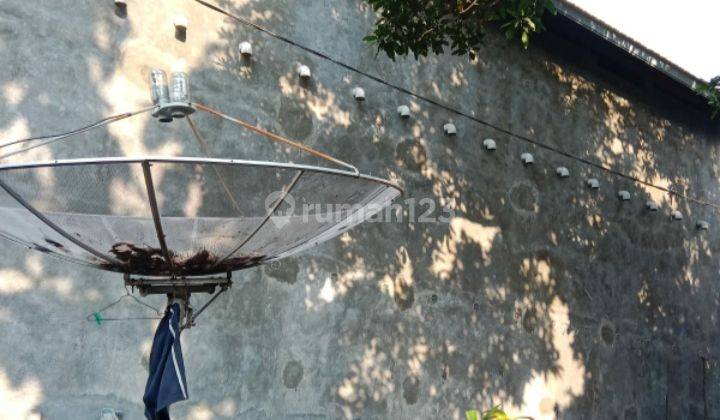 Rumah Burung Siap Pakai di Desa Pegulon Bali 2